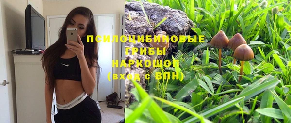 PSILOCYBIN Заволжск