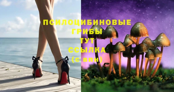 гашик Елизово