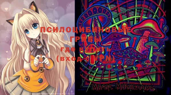 гашик Елизово