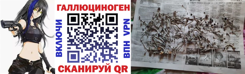 Галлюциногенные грибы Psilocybine cubensis  дарнет шоп  Рошаль 
